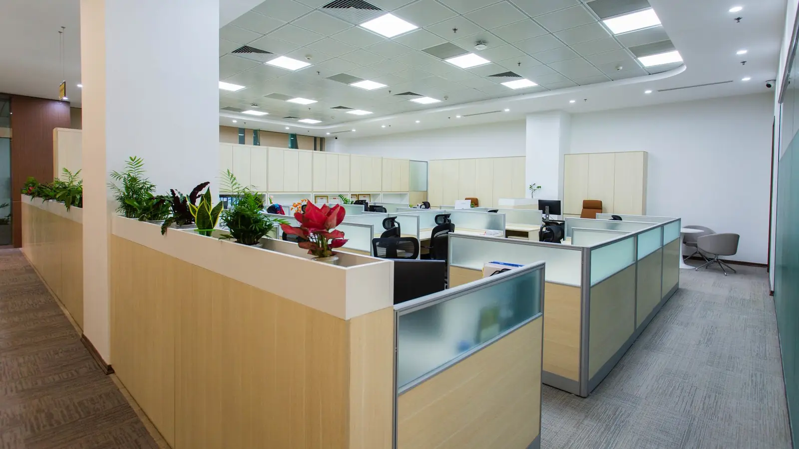 Bright office with wooden workstations and glass partitions