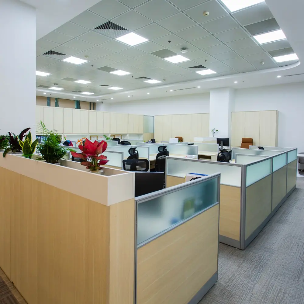 Bright office with wooden workstations and glass partitions