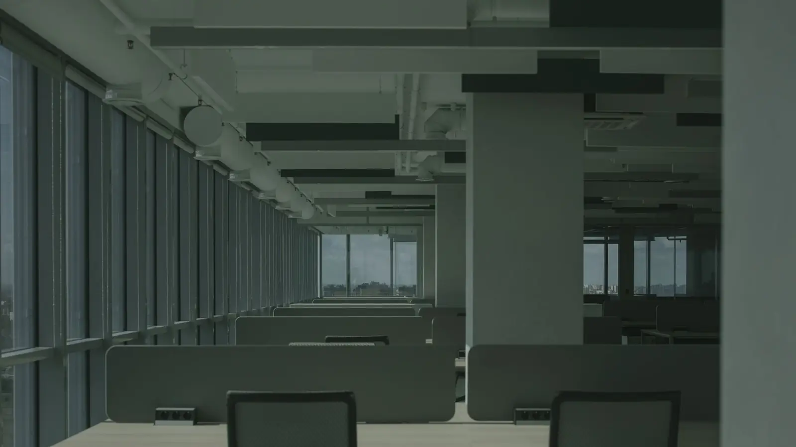 Open-plan office with rows of desks and long windows