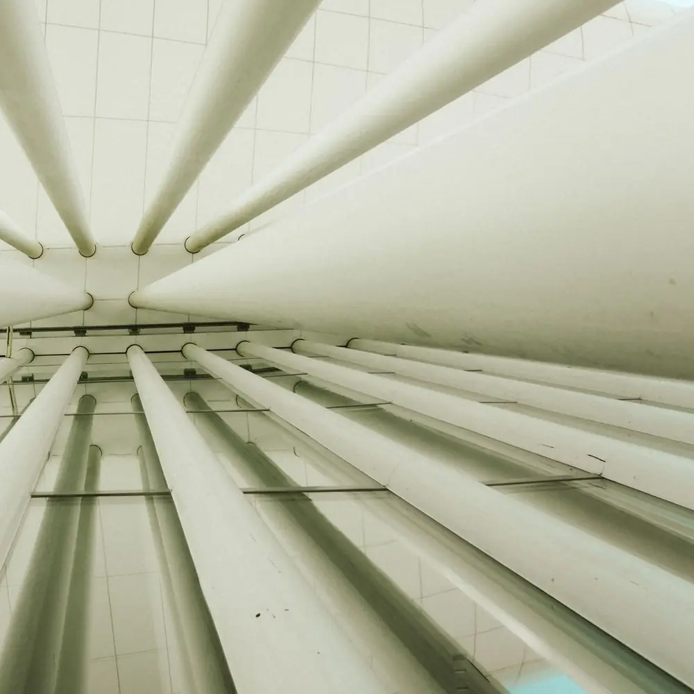 White columns seen from below forming architectural lines